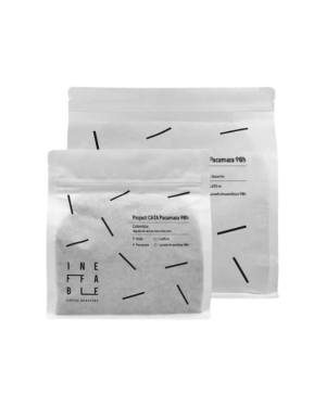 Untitled design - 2024-03-21T223421.094 Colombia Project CATA Pacamara – Omni