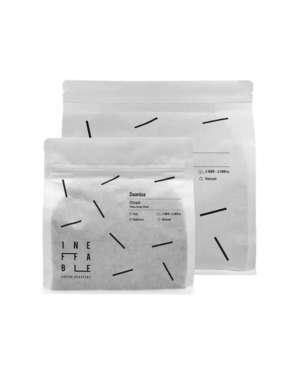 Untitled design - 2024-03-21T223821.096 Ethiopia Daanisa - Omni