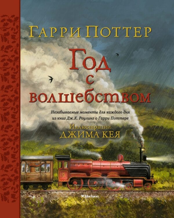 Кей Гарри Поттер Год с Волшебством kej garri potter god s volshebstvom